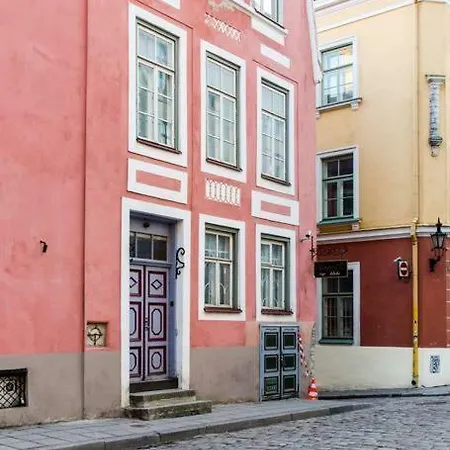 Very Central Penthouse Ταλίν
